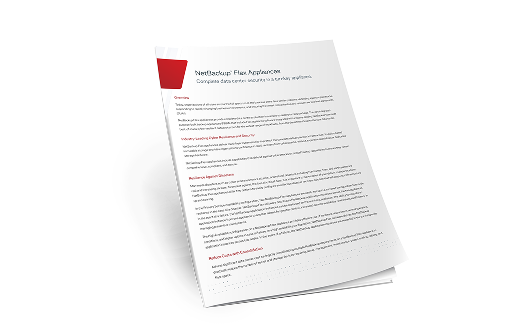 NetBackup Flex 6.0であらゆる攻撃対象領域のセキュリティを確保 